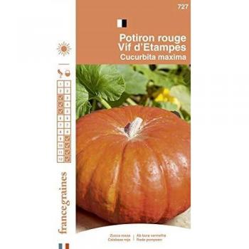 Graines de Potiron d'Étampes