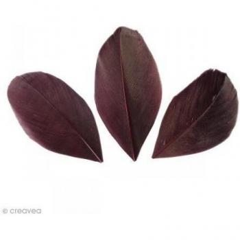 Colección de 50 Plumas Cortas Marrones 6cm