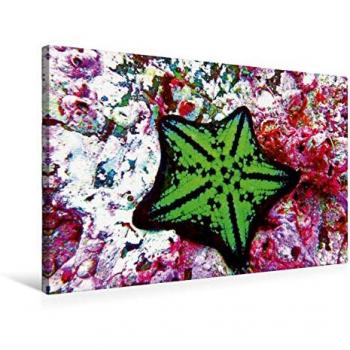 Leinwand‑Kissenstern 75 × 50 cm – „Submerged Rock“ (Cocos Island, Costa Rica) – Druck von Andrea Hess