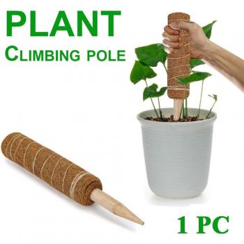 Support pour plantes grimpantes 40CM