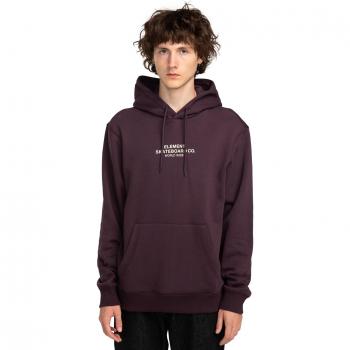 T-shirt Hooded Skateboard Co Element violet
