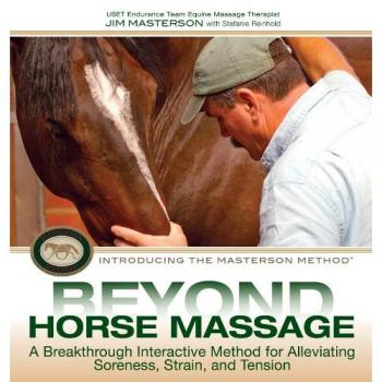 Beyond Horse Massage
