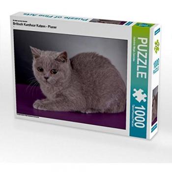 Calvendo Haustier‑Puzzle „Kurzhaarkatze (UK)“ – 1000 Stück, 64 × 48 cm