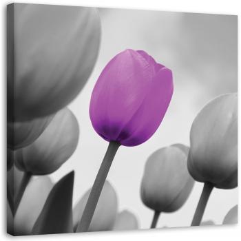 Lalea Imprime Canvas Feeby Gri 30x30 Violet