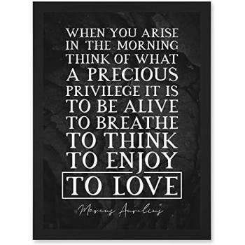Live Love Think: Marcus Aurelius Print