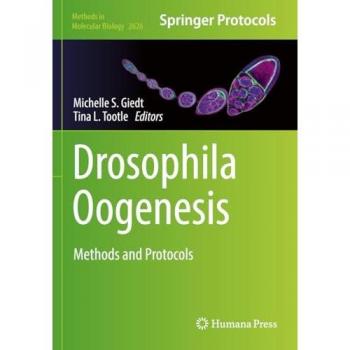 Drosophila Oogenesis