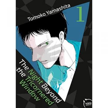 The night beyond the tricornered window T01