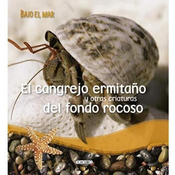 El cangrejo ermitaño y otras criaturas del fondo rocoso