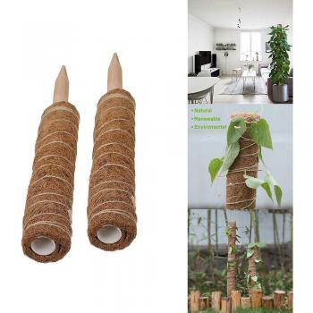 Plant Climbing Stick
