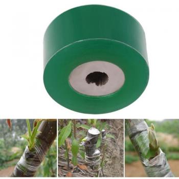 Bande de greffe écologique 2/2.5/3CM