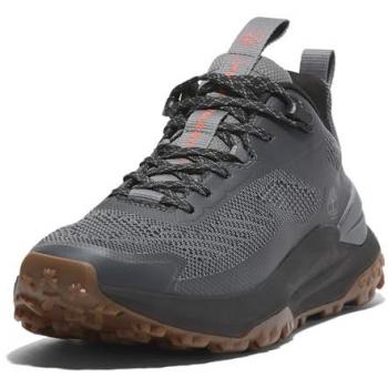 Timberland Scarpe Da Trekking Basse Grigio 41