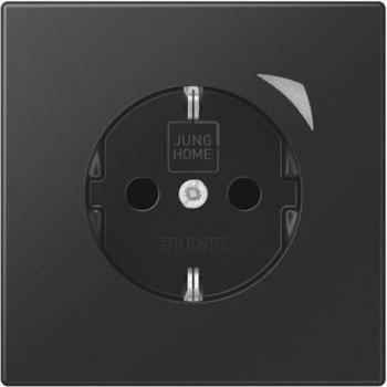 JUNG BTLS1521SSWM HOME SCHUKO Steckdose