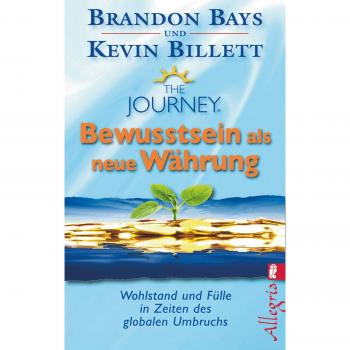 Brandon Bays The Journey