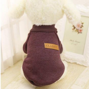 Pull doux pour Chihuahua et Yorkie