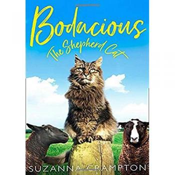 Bodacious: The Shepherd Cat