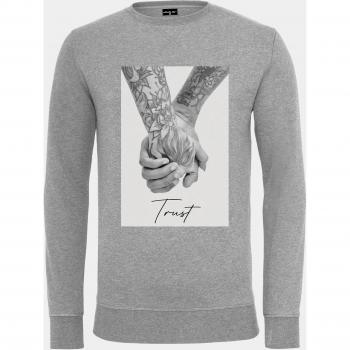 Felpa Mister Tee Trust 2.0 Grigia L