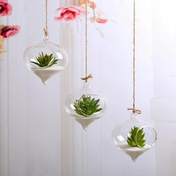 Round Glass Terrarium Planter
