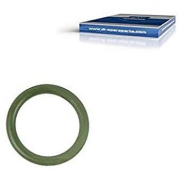 Heavy Seal Ring DT 1.27419