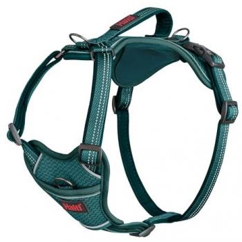 Company of Animals Halti Anatomy Teal Dog Harness – L, Adjustable