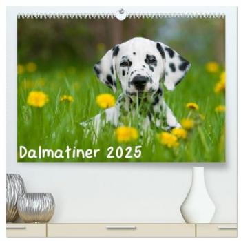 Dalmatiner 2025 (hochwertiger Premium Wandkalender 2025 DIN A2 quer) Kunstdruck in Hochglanz