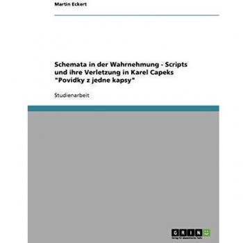 Schemata in der Wahrnehmung