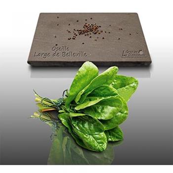 Grains d'Aromatiques 100 – Le Grand Jardin du Grenier