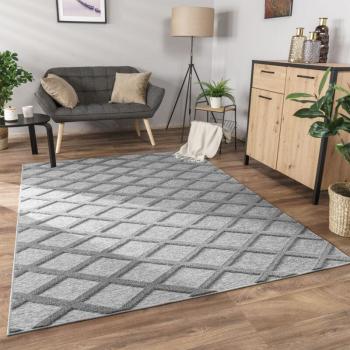 Tappeto 3D Boho Nordica 80x150 cm – Grigio, Pelo Corto (Paco Home)