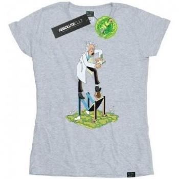 Rick And Morty Ladies Cotton T-Shirt Stylized Characters L Grey