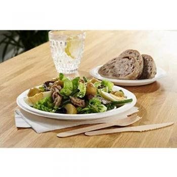 Caterpack Enviro Wooden Knives (100 Pack)