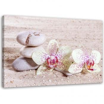 Immagine su Tela Feeby – Orchidea con Pietre sulla Sabbia 60x40 Rosato