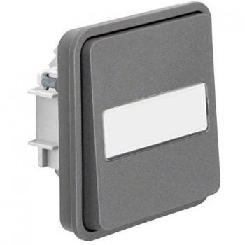 Berker Taster-Einsatz grau 50413515