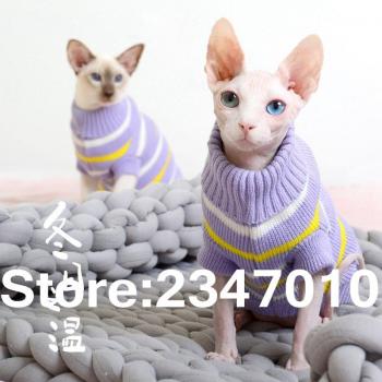 Capuche Éclatante Sphynx