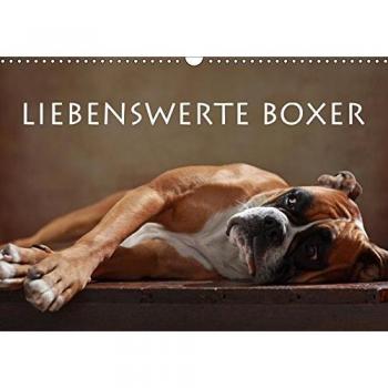 Liebenswerte Boxer