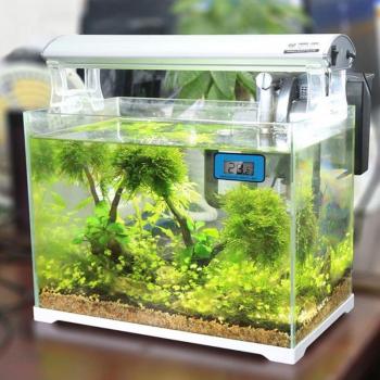 Aquarium Water Temperature Digital Thermometer