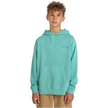 Sudadera con Capucha Element Cornell 3.0 para Niños