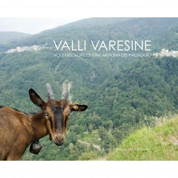 Valli Varesine. Volti dell'agricoltura, armonia del paesaggio. Ediz. italiana e inglese
