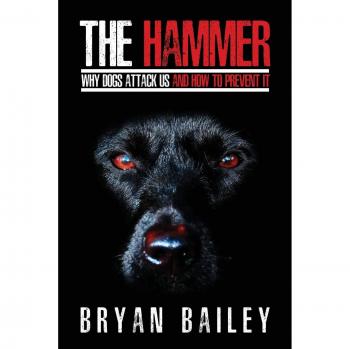 The hammer