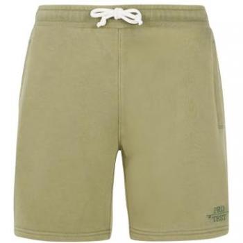 Arctic Green Protest Tedor Shorts (L)