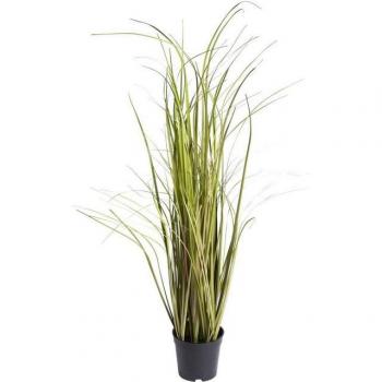 BOTANIC-HAUS „Grasarrangement Arusha“ – 75 cm Kunstpflanze