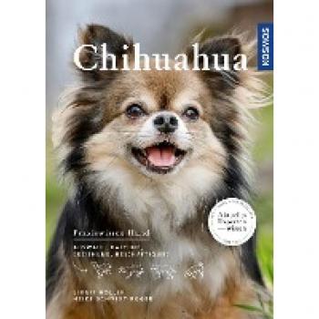 Kosmos Chihuahua