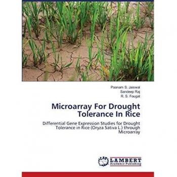 Microarray For Drought Tolerance In Rice: Differential Gene Expression Studies for Drought Tolerance in Rice