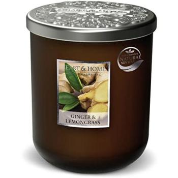 Grands diffuseurs de senteur gingembre & citron