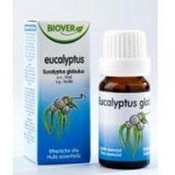 Eucalipto Bio Aceite Esencial 50 ml