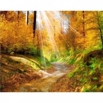Paysage de Forêt Brillante – Broderie Point de Croix