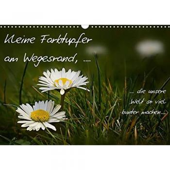 kleine Farbtupfer am Wegesrand