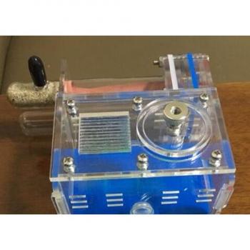 Ant House Villa: Transparent Simple Tube for Kids & Pets