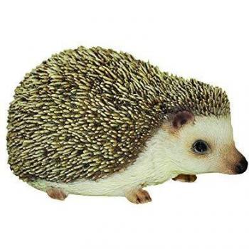 Highly Detailed Pygmy Hedgehog Home Decoration, XRL‑PHED‑F