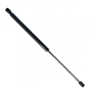 EINPARTS EP10080GS Vehicle Boot Gas Spring