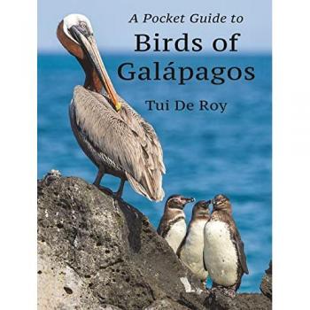 A Pocket Guide to Birds of Galapagos