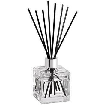 Maison Berger Scented Bouquet in Zest of Verbena and Transparent Design